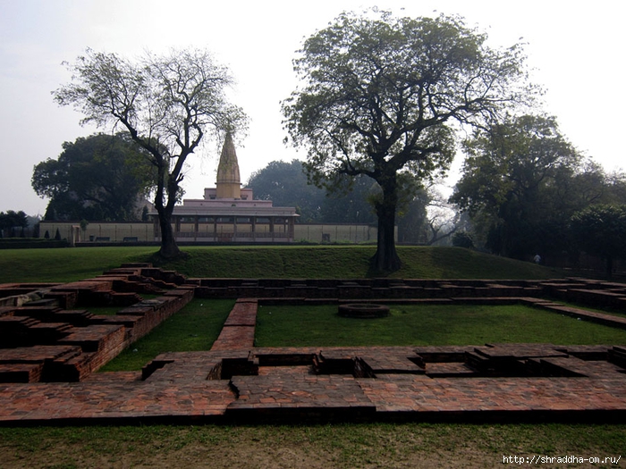 Sarnath 2014 (3) (700x525, 312Kb)