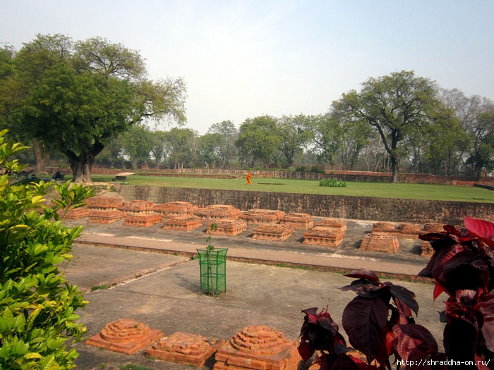 Sarnath 2014 (6) (700x525, 335Kb)