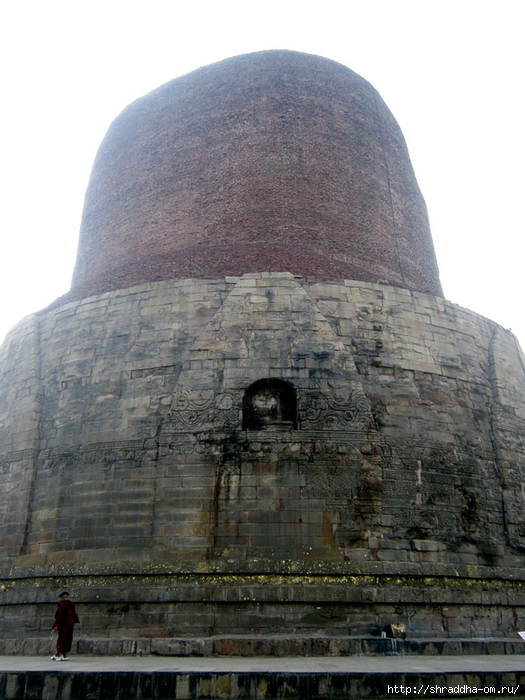 Sarnath 2014 (10) (525x700, 266Kb)