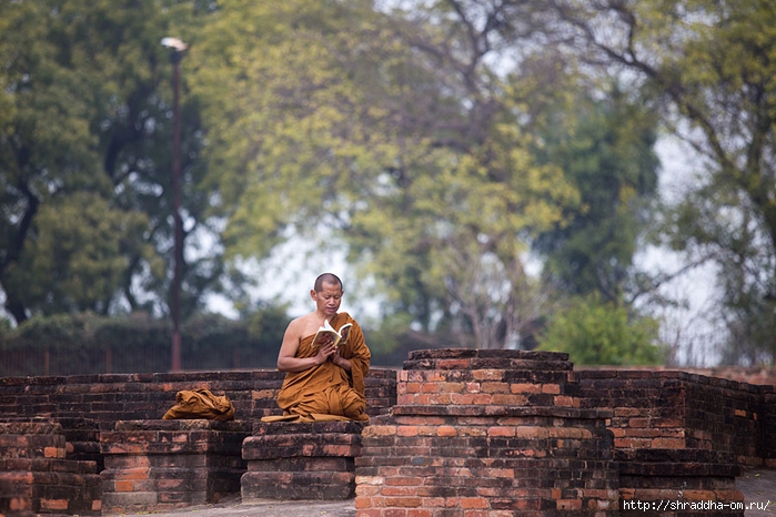 Sarnath 2014 (20) (700x466, 281Kb)