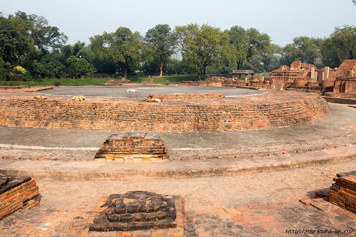 Sarnath 2014 (21) (700x466, 371Kb)