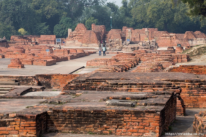 Sarnath 2014 (22) (700x466, 391Kb)