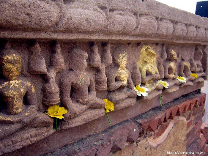 Sarnath 2014 (25) (700x525, 370Kb)