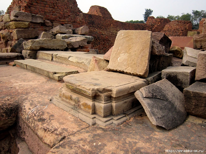 Sarnath 2014 (28) (700x525, 365Kb)