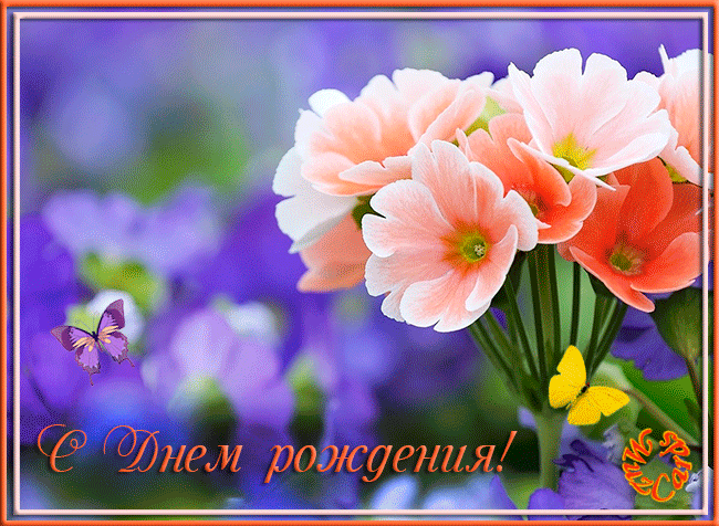 Открытки день рожденья бабочки Открытки день рожденья бабочки