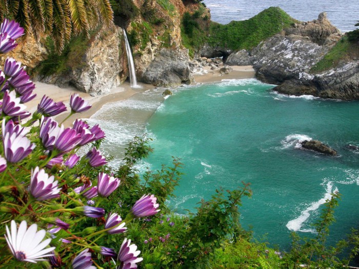 Mcway-Falls-Julia-Pfeiffer-State-Park-American-Beach-Scenery--1536x2048 (700x525, 142Kb)