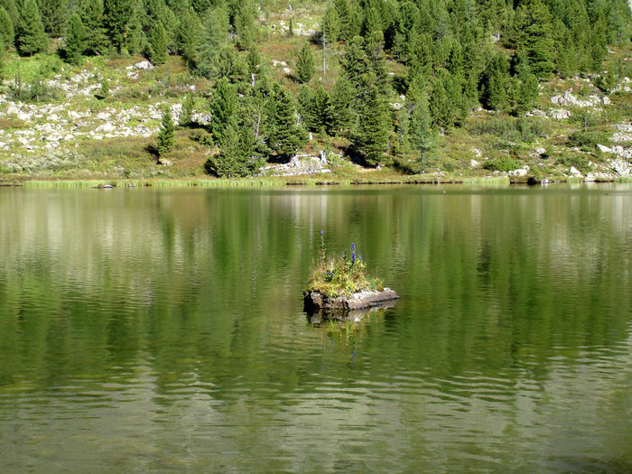 отровок на 4 каракольском озере (700x525, 589Kb)