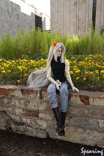 IMG_8300 (333x500, 259Kb)