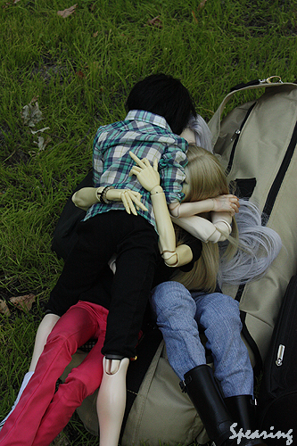 IMG_8358 (333x500, 230Kb)