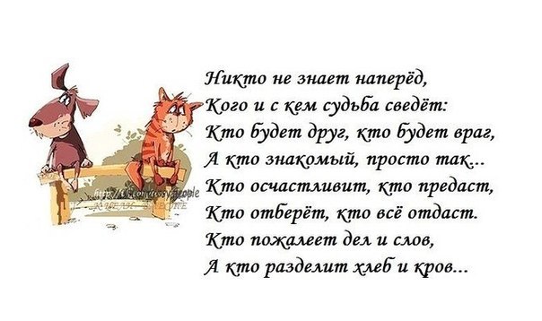 Стих о лучшем друге смешной Стих о лучшем друге смешной
