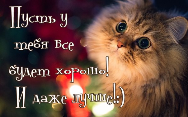 Открытки пусть все у вас будет хорошо Открытки пусть все у вас будет хорошо