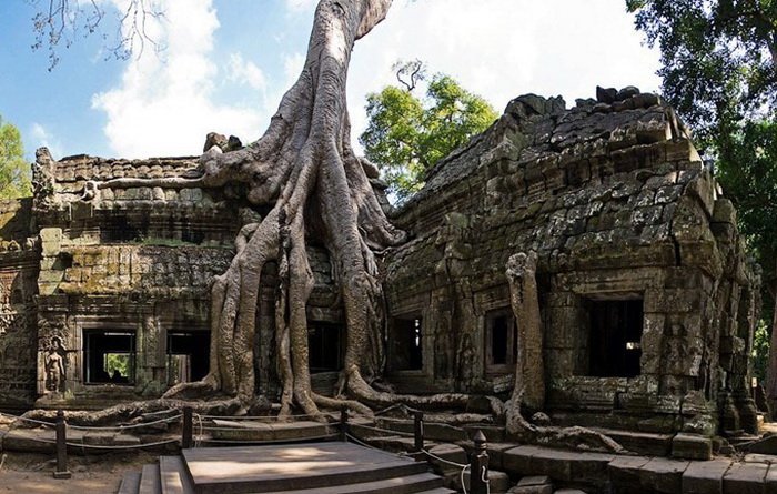 ta-prohm-1 (700x445, 366Kb)