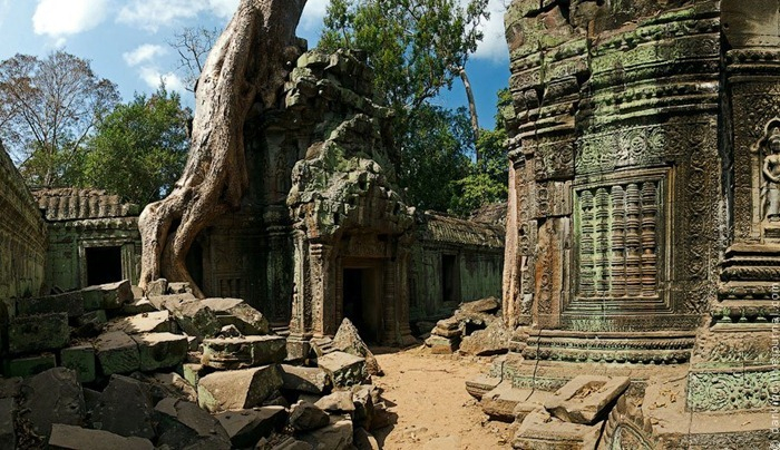 ta-prohm-5 (700x404, 419Kb)