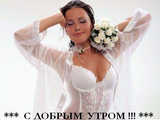    (549x412, 30Kb)