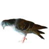 5663931_5be91af7cd0555a3bf0846e97da1c30ed7fa4wf (100x100, 34Kb)