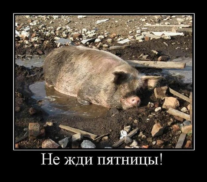 5680197_2066Nezhdipyatnitsy (700x613, 104Kb)