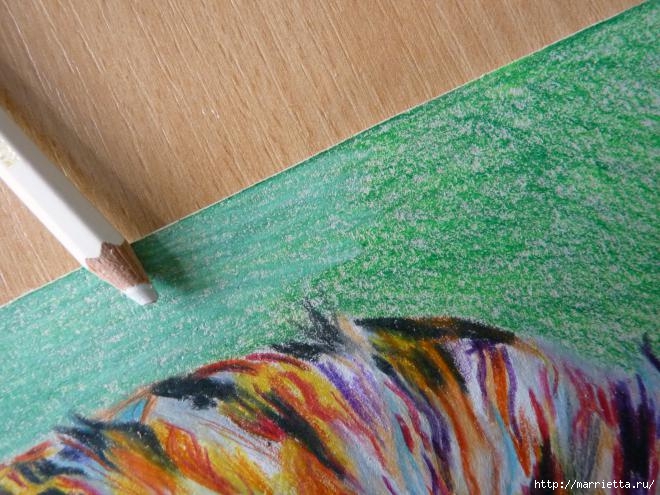 Как нарисовать совушку акварельными карандашами (20) (660x495, 210Kb)