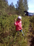  IMG_20140809_143404 (525x700, 678Kb)