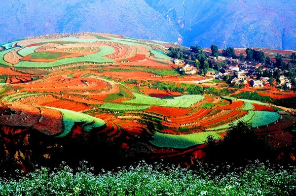 поля Дончуань китай фото 7 (600x398, 408Kb)