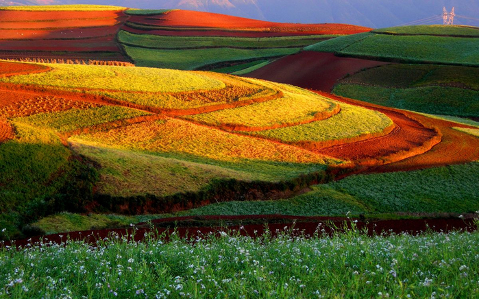 поля Дончуань китай фото 12 (700x436, 472Kb)