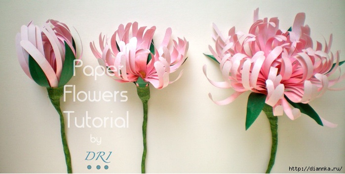Paper Flowers Tutorial DRI (700x353, 130Kb)