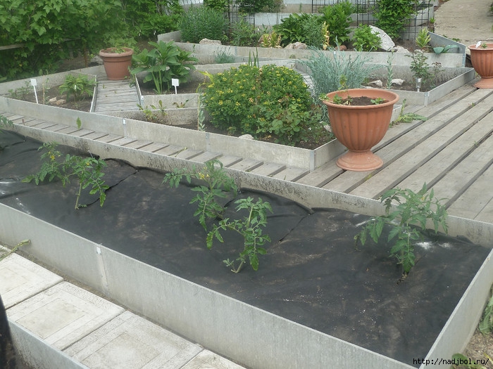 /5186405_image_10 (700x525, 282Kb)