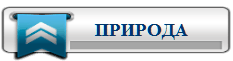 3996605_PRIRODA (233x61, 3Kb)