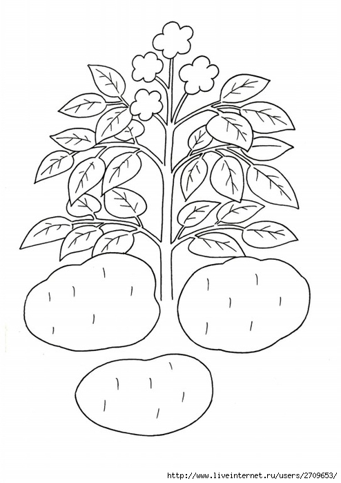 0.page05 (494x700, 160Kb)
