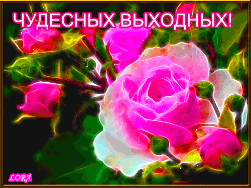 3470549_ (500x375, 87Kb)