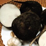 Cleansing-the-liver-by-radish-150x150 (150x150, 8Kb)