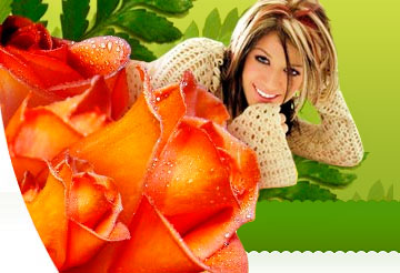 3201191_bgwrapper (360x246, 29Kb)
