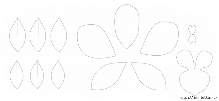 Цветы ОРХИДЕИ из цветной бумаги. Шаблоны (8) (700x323, 69Kb)