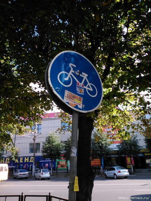 дорожный знак велосипедная дорожка