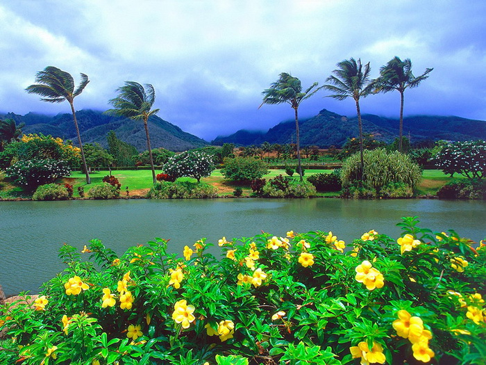 hawaii_photos21 (700x525, 584Kb)