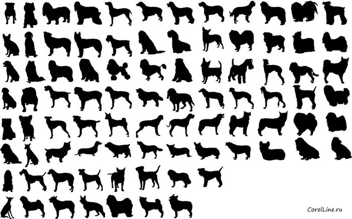 , , . , , . , , , , /4682845_ovcharki2 (700x435, 74Kb)