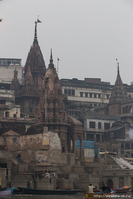 India Varanasi 2014 (83) (466x700, 232Kb)