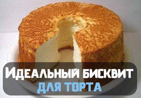 Идеальный бисквит для торта рецепт пошагово в домашних условиях Идеальный бисквит для торта рецепт пошагово в домашних условиях