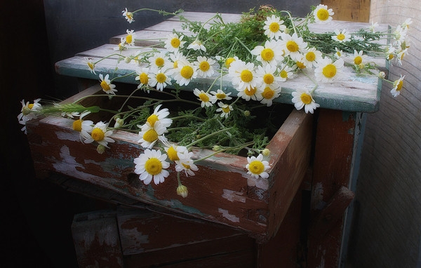 16 (600x382, 169Kb)