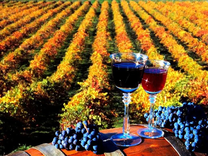 grapes_15 (700x525, 158Kb)