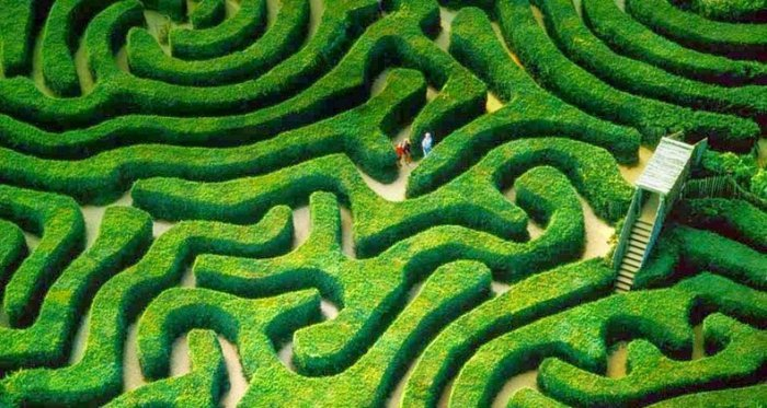 Longleat Hedge Maze 2 (700x373, 333Kb)