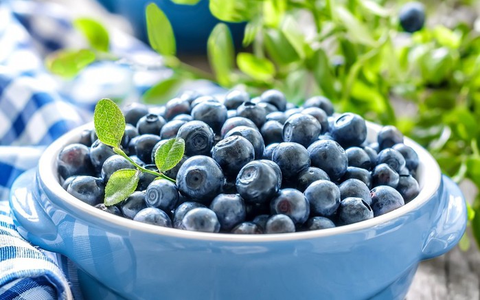blueberries_05 (700x437, 82Kb)