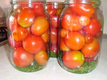 marinovannye-pomidory-ukladyvaem-v-banki (365x274, 101Kb)
