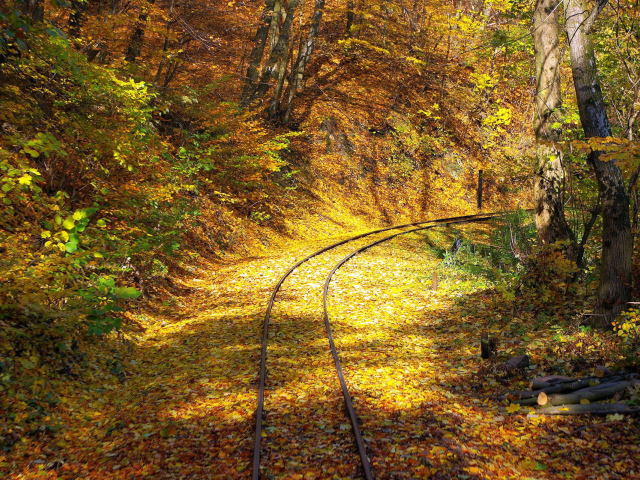 Nature___Seasons___Autumn_____Railroad_in_the_forest_083543_29 (640x480, 688Kb)