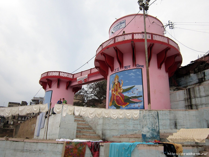 India Varanasi 2014 (99) (700x525, 269Kb)