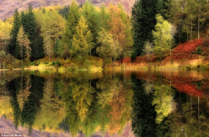 Roger Merrifield1 (700x461, 300Kb)