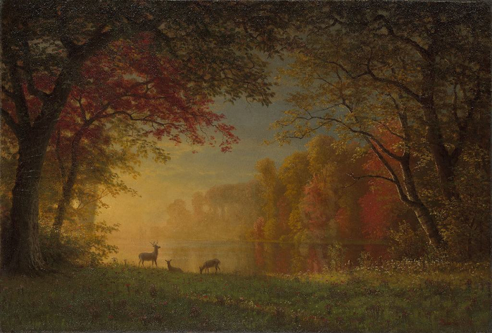 indian-sunset-deer-by-a-lake (700x474, 372Kb)