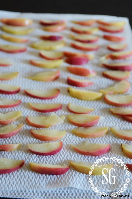 PUFF-PASTRY-APPLE-ROSETTES-apples-on-paper (463x700, 222Kb)