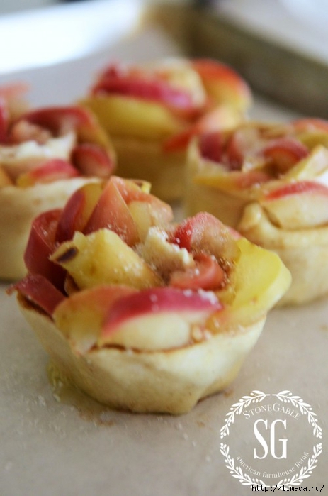 PUFF-PASTRY-APPLE-ROSETTES-rolled-rosettes (463x700, 173Kb)