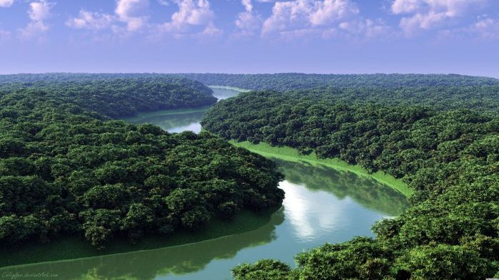 amazon_jungle_04 (700x393, 64Kb)