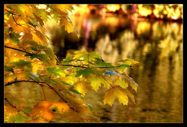 2835299_ (600x408, 62Kb)